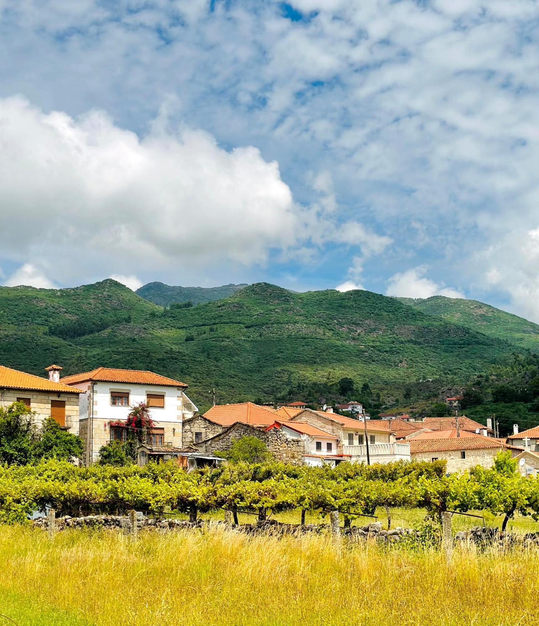 Casa Da Touca Villa Arcos de Valdevez Exterior foto